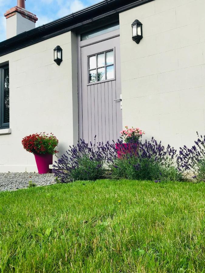 Lavender Cottage - 2 Bedroom Home ニューブリッジ エクステリア 写真